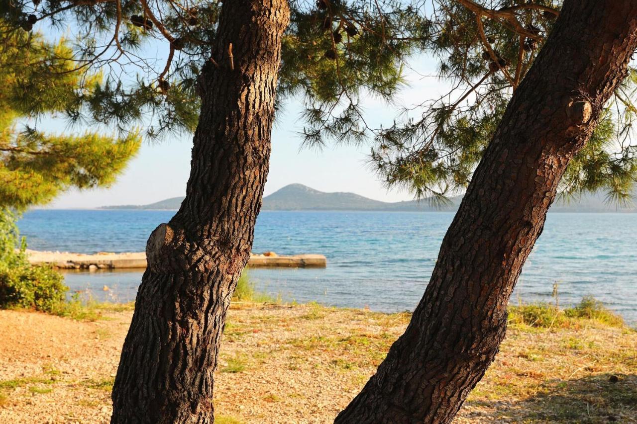 Mobile Home Safir Biograd na Moru Kültér fotó
